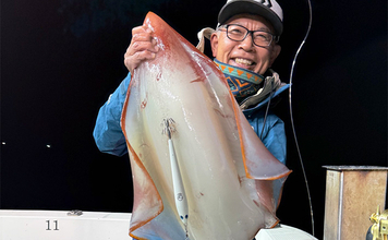 敦賀湾のタルイカ釣りで怪物級登場！　8kg超の巨体をキャッチ【福井】