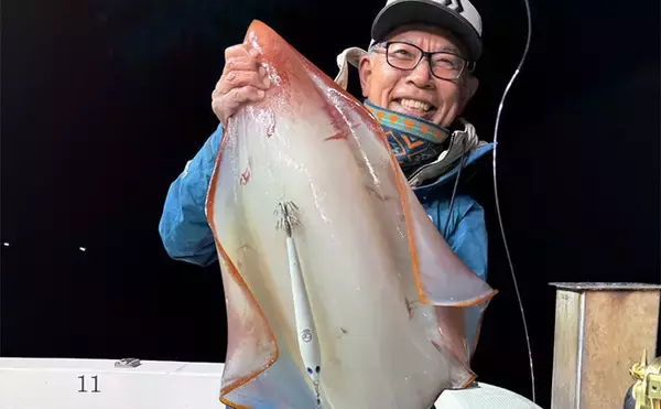 敦賀湾のタルイカ釣りで怪物級登場！　8kg超の巨体をキャッチ【福井】