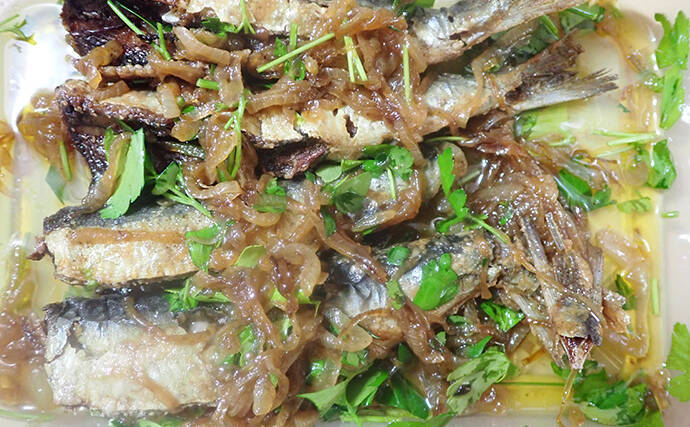 釣魚で作る「キリッと冷えた白ワインに合う」レシピ：マイワシのマリネ