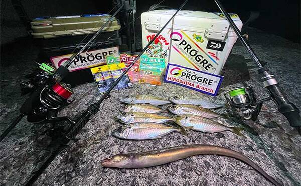 周防大島で春のライトゲーム開幕 常夜灯周りを探りcm級アジ好捕 22年4月27日 エキサイトニュース