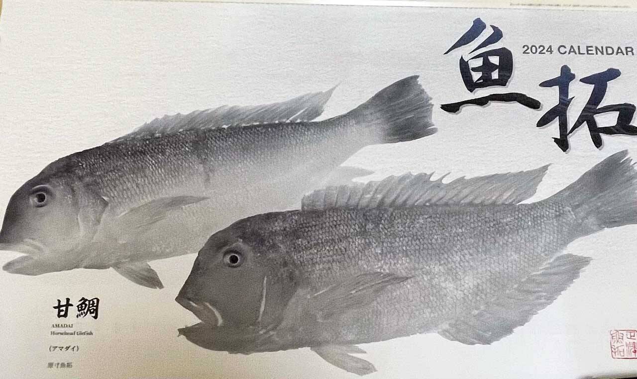 釣具メーカーの魚拓カレンダーを見て【１年間に釣れる魚をチェックしてみた】