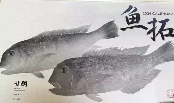 「釣具メーカーの魚拓カレンダーを見て【１年間に釣れる魚をチェックしてみた】」の画像