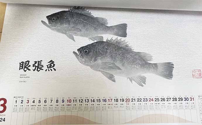 釣具メーカーの魚拓カレンダーを見て【１年間に釣れる魚をチェックしてみた】