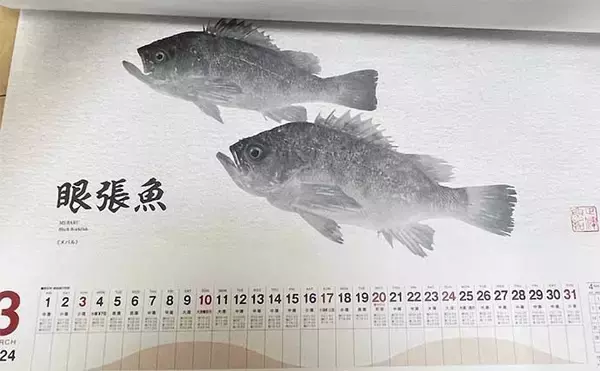 「釣具メーカーの魚拓カレンダーを見て【１年間に釣れる魚をチェックしてみた】」の画像