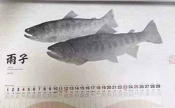 「釣具メーカーの魚拓カレンダーを見て【１年間に釣れる魚をチェックしてみた】」の画像