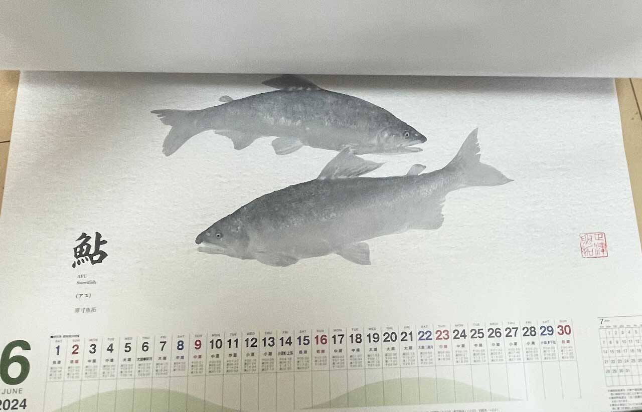 釣具メーカーの魚拓カレンダーを見て【１年間に釣れる魚をチェックしてみた】