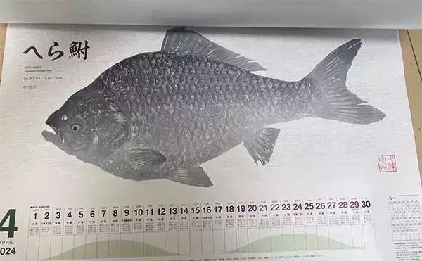 「釣具メーカーの魚拓カレンダーを見て【１年間に釣れる魚をチェックしてみた】」の画像