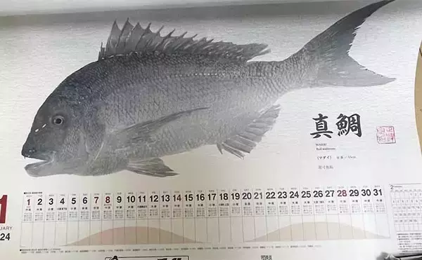 「釣具メーカーの魚拓カレンダーを見て【１年間に釣れる魚をチェックしてみた】」の画像