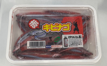 「あなたはエサ派？ルアー派？」陸っぱりタチウオ釣りで釣果優先ならエサ一択か