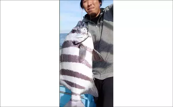 「【沖釣り釣果速報】響灘のジギング船で良型ヒラマサ7kg級浮上！ブレードジグにヒット（福岡）」の画像