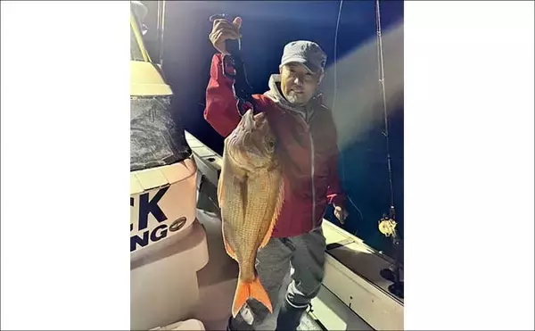 「【沖釣り釣果速報】響灘のジギング船で良型ヒラマサ7kg級浮上！ブレードジグにヒット（福岡）」の画像