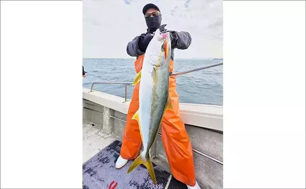 「【沖釣り釣果速報】響灘のジギング船で良型ヒラマサ7kg級浮上！ブレードジグにヒット（福岡）」の画像