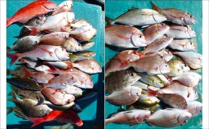 関西エリアの【船釣り特選釣果】ジギング船で11.6kg特大ブリ＆70cm大ダイ続々浮上！