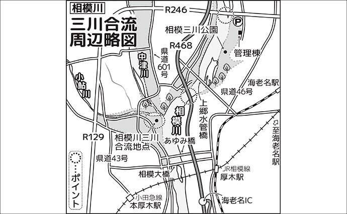 相模川アユルアー釣り完全攻略 【ポイント・レギュレーション・釣り方を解説】