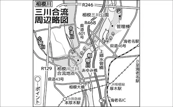 「相模川アユルアー釣り完全攻略 【ポイント・レギュレーション・釣り方を解説】」の画像