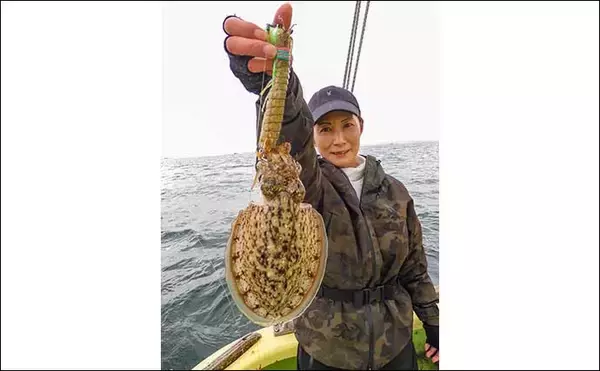 「東京湾シャコテンヤ釣りで600g筆頭に船中TOPスミイカ5尾【新明丸】　ゲストはトラフグ」の画像