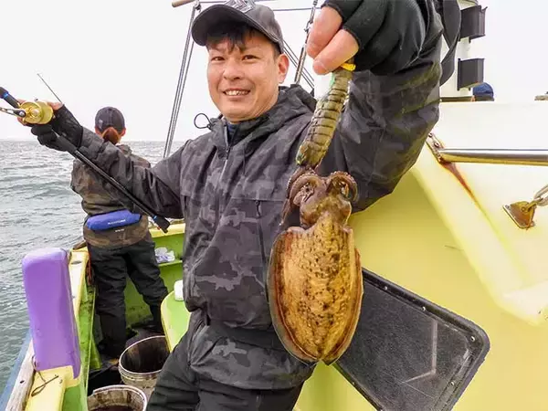 「東京湾シャコテンヤ釣りで600g筆頭に船中TOPスミイカ5尾【新明丸】　ゲストはトラフグ」の画像