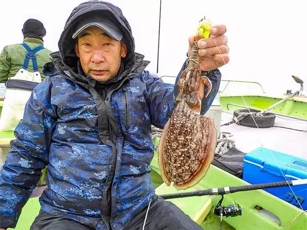 「東京湾シャコテンヤ釣りで600g筆頭に船中TOPスミイカ5尾【新明丸】　ゲストはトラフグ」の画像