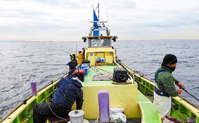 東京湾シャコテンヤ釣りで600g筆頭に船中TOPスミイカ5尾【新明丸】　ゲストはトラフグ