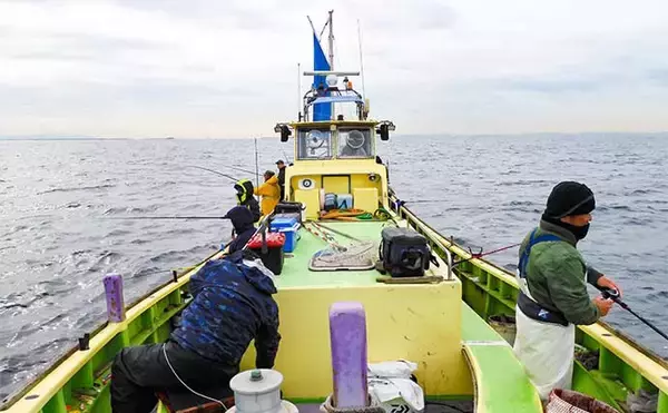 「東京湾シャコテンヤ釣りで600g筆頭に船中TOPスミイカ5尾【新明丸】　ゲストはトラフグ」の画像