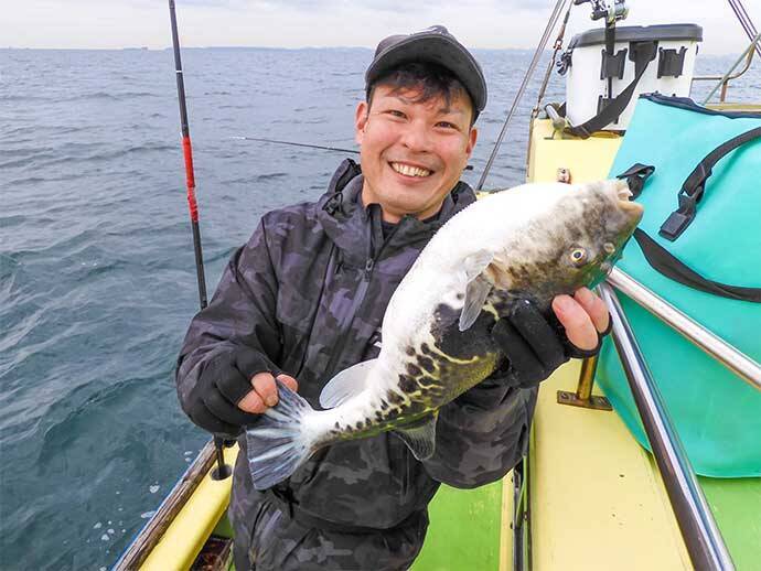 東京湾シャコテンヤ釣りで600g筆頭に船中TOPスミイカ5尾【新明丸】　ゲストはトラフグ