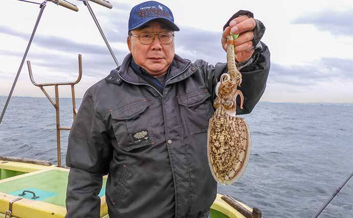 東京湾シャコテンヤ釣りで600g筆頭に船中TOPスミイカ5尾【新明丸】　ゲストはトラフグ