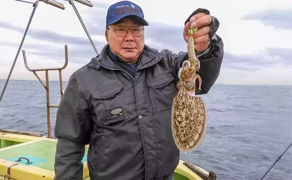 「東京湾シャコテンヤ釣りで600g筆頭に船中TOPスミイカ5尾【新明丸】　ゲストはトラフグ」の画像