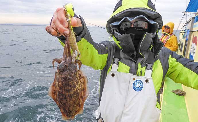 東京湾シャコテンヤ釣りで600g筆頭に船中TOPスミイカ5尾【新明丸】　ゲストはトラフグ