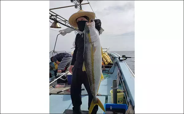 「【釣果速報】落とし込み釣りでブリにヒラメにサワラに根魚と多彩（福岡）」の画像