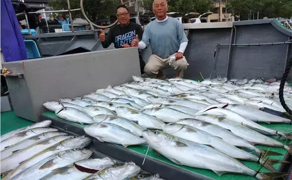 「【釣果速報】落とし込み釣りでブリにヒラメにサワラに根魚と多彩（福岡）」の画像