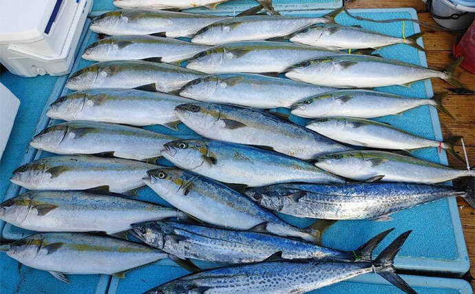 【釣果速報】落とし込み釣りでブリにヒラメにサワラに根魚と多彩（福岡）