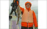 「東京湾の船マゴチ釣りで54cm頭に釣る人5尾【新明丸】エサはサイマキエビ」の画像7