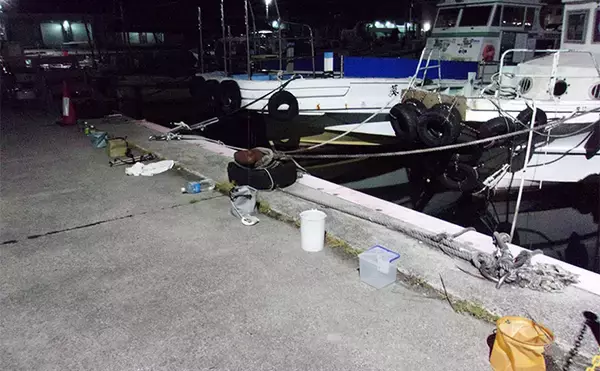 「『泉佐野一文字』での落とし込み釣りでカンダイ2匹を手中【大阪】本命チヌは不発」の画像