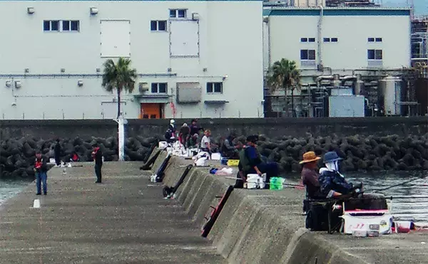 「『泉佐野一文字』での落とし込み釣りでカンダイ2匹を手中【大阪】本命チヌは不発」の画像