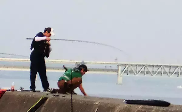 「『泉佐野一文字』での落とし込み釣りでカンダイ2匹を手中【大阪】本命チヌは不発」の画像