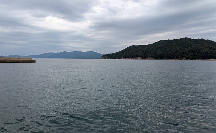 「エギングの合間に楽しもう！」エギングタックル流用のライトロックゲームでアコウ連発