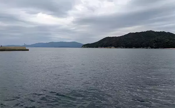 「「エギングの合間に楽しもう！」エギングタックル流用のライトロックゲームでアコウ連発」の画像