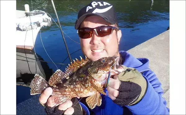 「尾鷲エリアのライトゲームで25cm超え良型メッキを手中【三重】アジングで数釣りも満喫」の画像