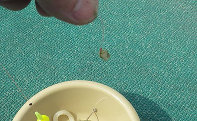 日本一小さい「蕨」市の唯一の釣り堀『つかプーフィッシング』で鯉とニジマス釣りを堪能