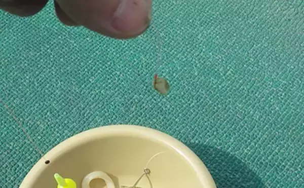 「日本一小さい「蕨」市の唯一の釣り堀『つかプーフィッシング』で鯉とニジマス釣りを堪能」の画像