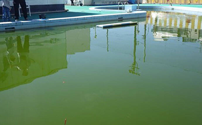 日本一小さい「蕨」市の唯一の釣り堀『つかプーフィッシング』で鯉とニジマス釣りを堪能