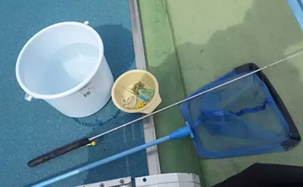 「日本一小さい「蕨」市の唯一の釣り堀『つかプーフィッシング』で鯉とニジマス釣りを堪能」の画像