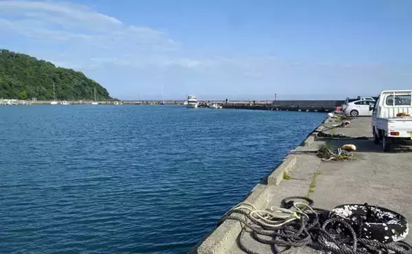 「関東の堤防サビキ釣り釣果情報：1時間でカタクチイワシ50尾手中【富浦新港・千葉】」の画像