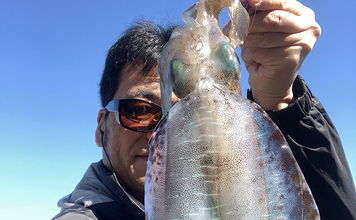 九州・陸っぱりエギング釣果レポート：良型アオリイカ接岸中！【福岡】