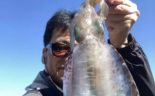 九州・陸っぱりエギング釣果レポート：良型アオリイカ接岸中！【福岡】