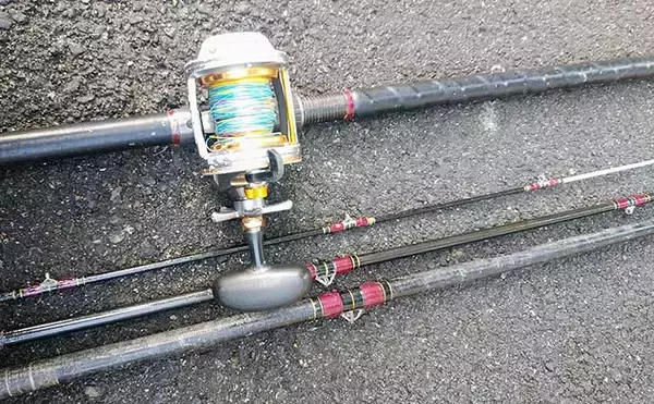 「夏磯イシガキダイ釣り入門　【時期・タックル・釣り方を解説】」の画像