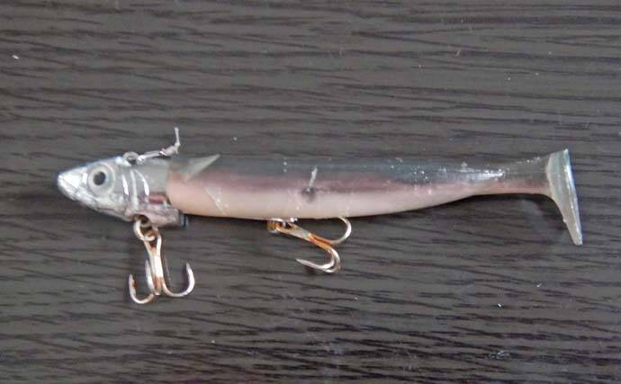 陸っぱりルアーマゴチ釣りで45cm頭に本命好捕【中海】1投目からヒット