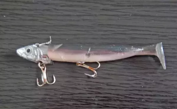 「陸っぱりルアーマゴチ釣りで45cm頭に本命好捕【中海】1投目からヒット」の画像