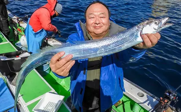 相模湾タチウオ釣り110cm頭に釣る人32尾【神奈川・ちがさき丸】タナは130〜200m
