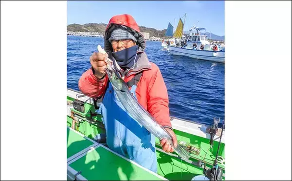 「相模湾タチウオ釣り110cm頭に釣る人32尾【神奈川・ちがさき丸】タナは130〜200m」の画像